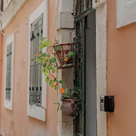 아파트 Maison Giallina At Spianada Square!