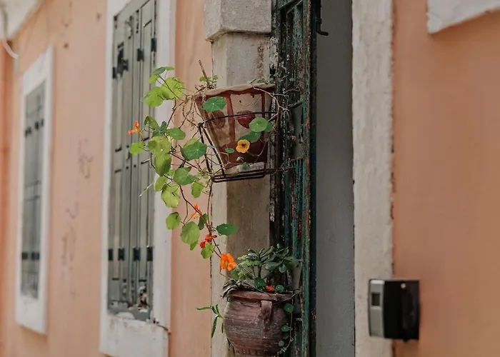 Apartament Maison Giallina At Spianada Square!